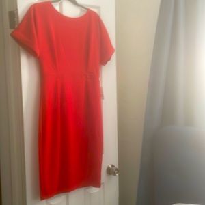 Alexia Amador Pencil dress